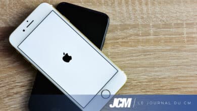 Les solutions pour débloquer un iPhone bloqué sur iCloud